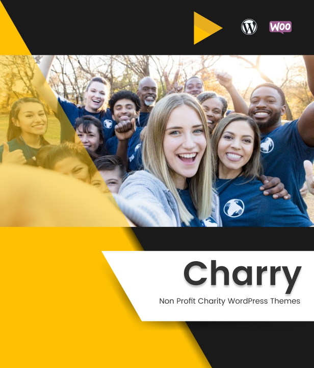 Charry - Non Profit Charity WordPress Themes - 2