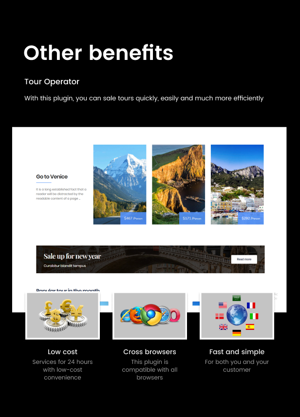 WordPress Tour Operator Pro - 17